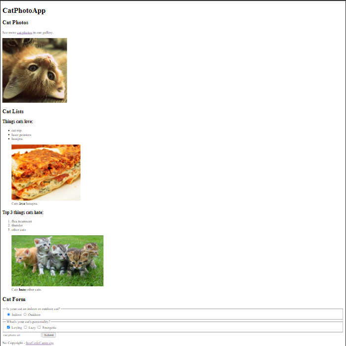 Cat Photo App Project Screenshot.